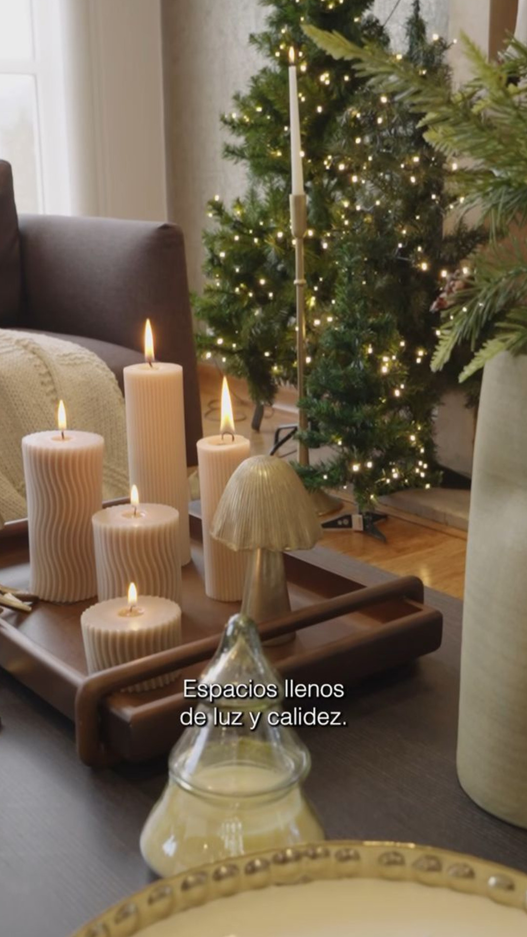 Espacios llenos de luz y calidez